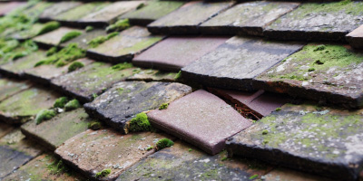 Lower North Dean roof repair costs